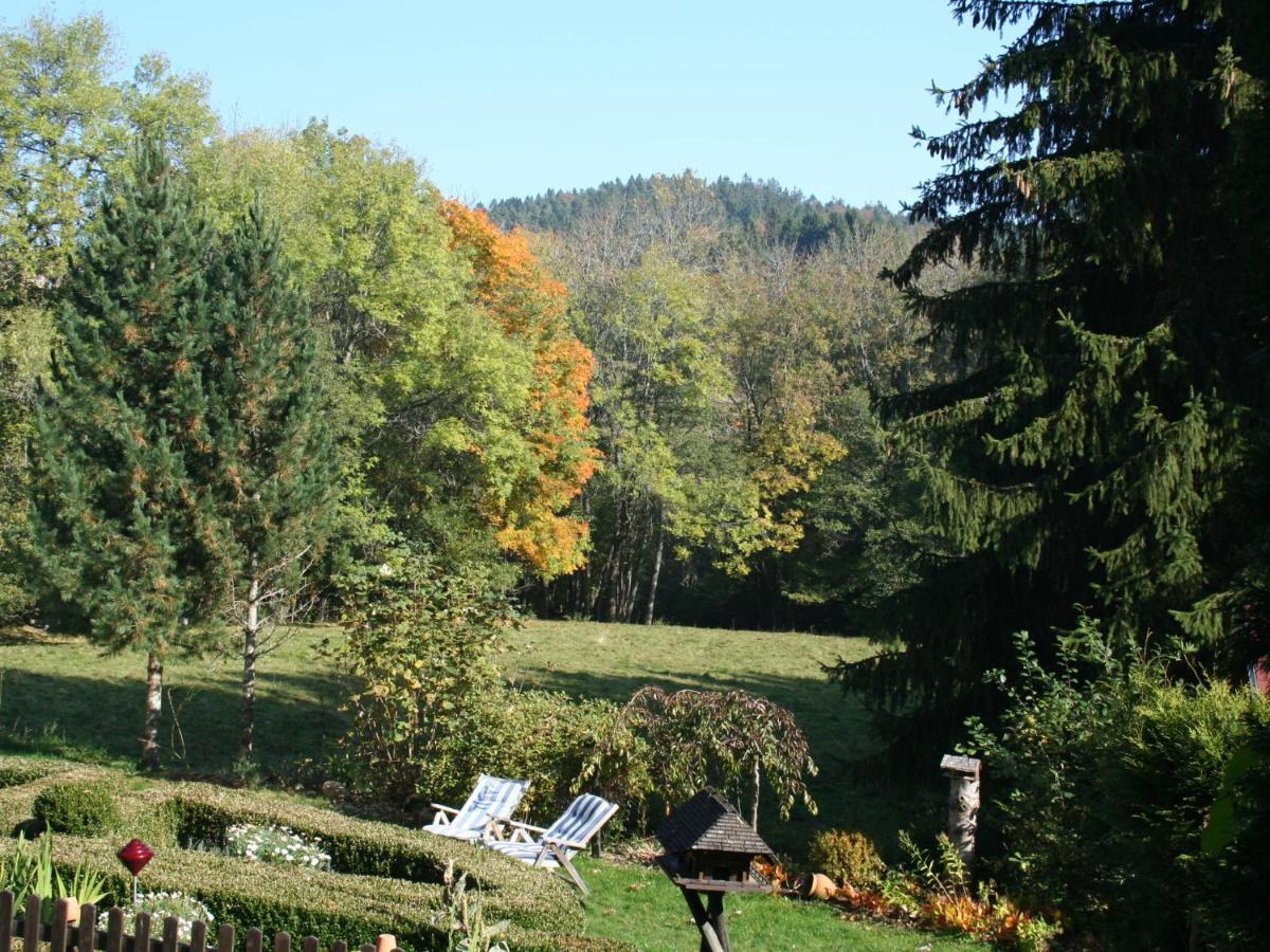 Cozy Holiday Apartment In The Black Forest Dachsberg im Schwarzwald Ngoại thất bức ảnh