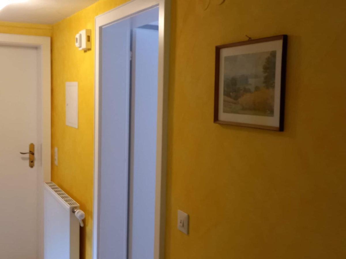Cozy Holiday Apartment In The Black Forest Dachsberg im Schwarzwald Ngoại thất bức ảnh