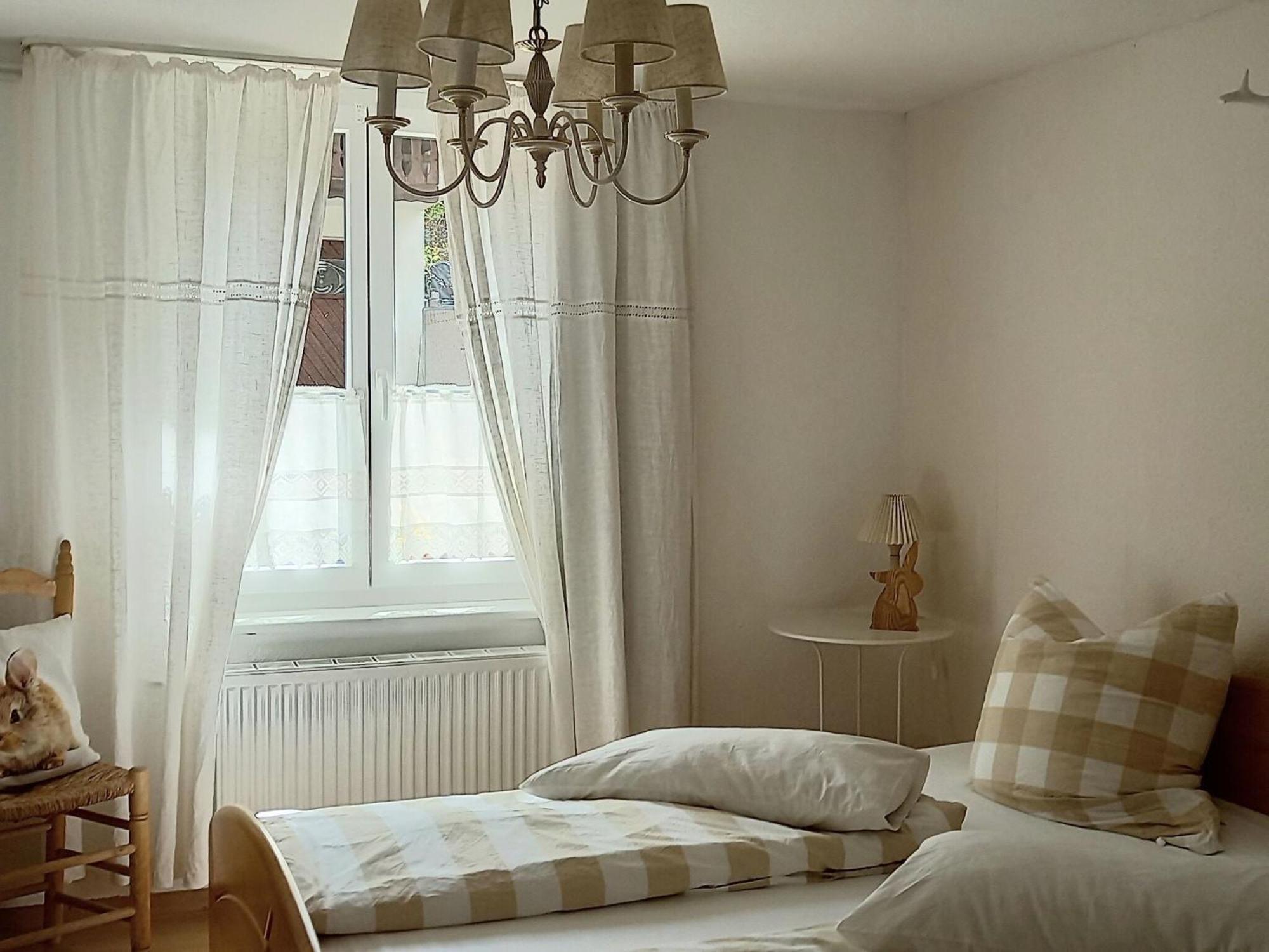 Cozy Holiday Apartment In The Black Forest Dachsberg im Schwarzwald Ngoại thất bức ảnh