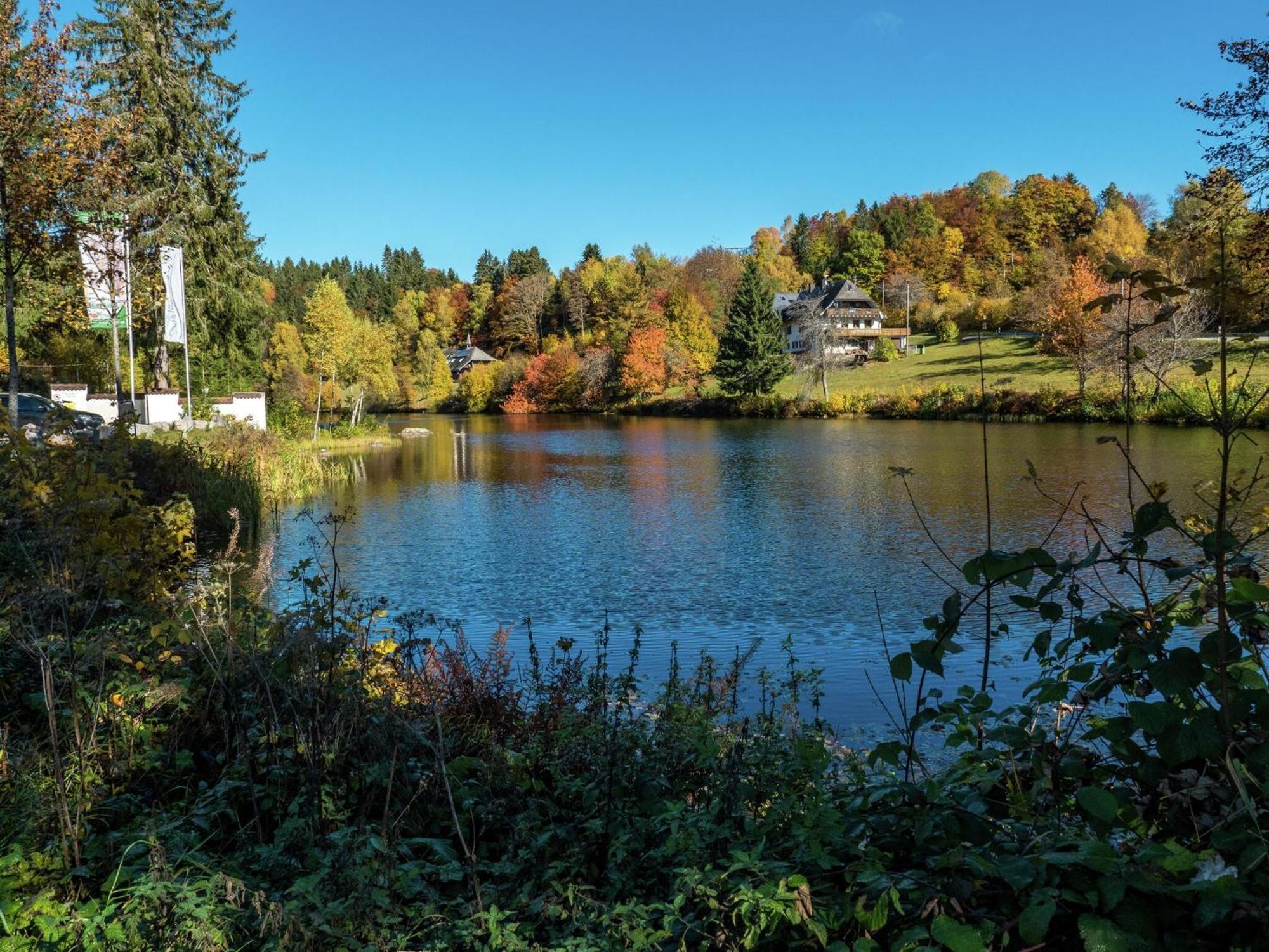 Cozy Holiday Apartment In The Black Forest Dachsberg im Schwarzwald Ngoại thất bức ảnh